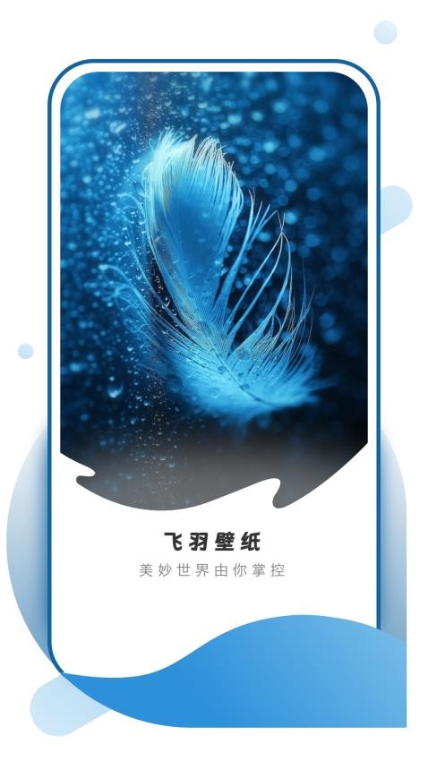 飞羽壁纸app最新版下载安装