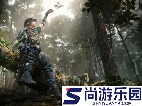 三角洲行动仓库自动整理设置