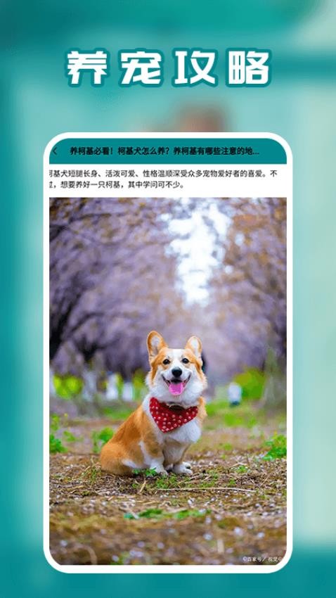 狗语APP手机版下载