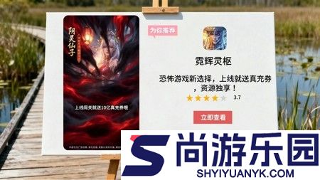 霓辉灵枢激活码永久有效