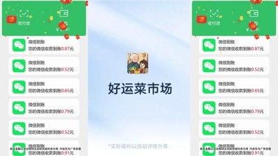 好运菜市场兑换码大全：2024 最新可用礼包码与福利汇总