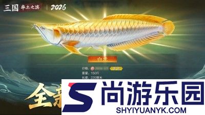 率土之滨青春服打架最强配置