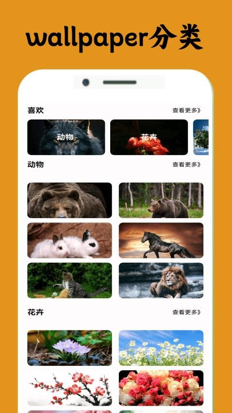 闪玩wallpaper最新版APP下载