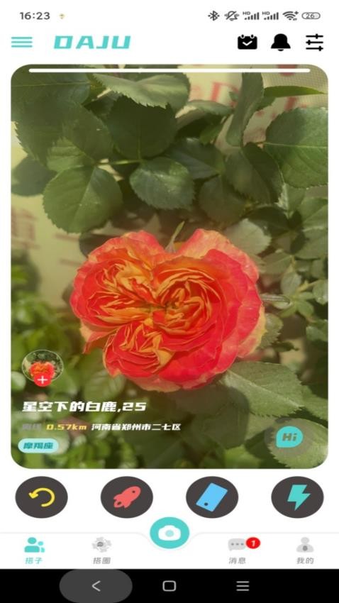 搭聚app下载