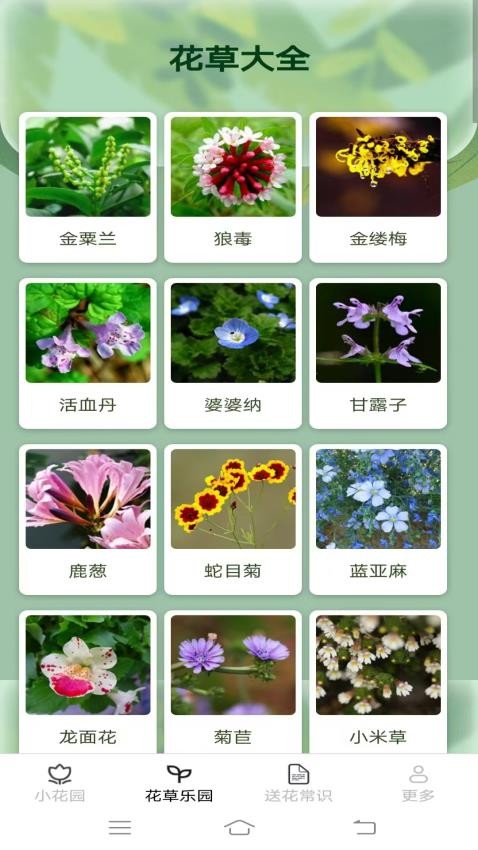 花草乐园官方版app下载
