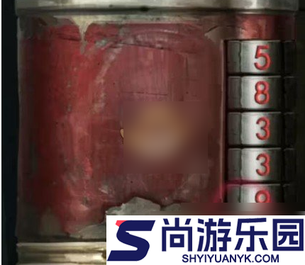 纸嫁衣8千子树第一章怎么过