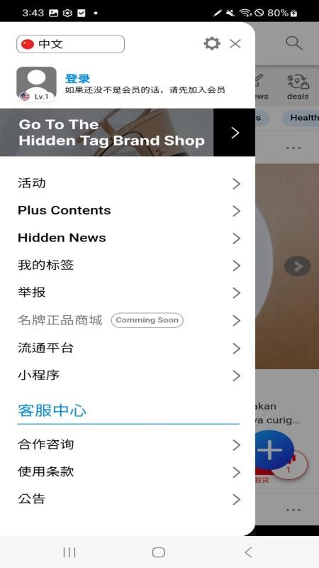 HiddenTag Global软件下载