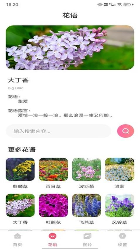 MosTalk聊天软件下载