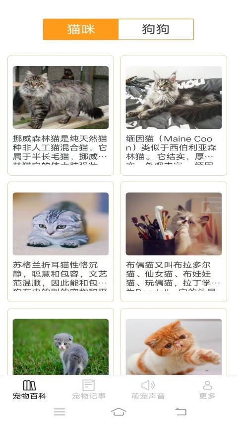 宠趣点点官网版