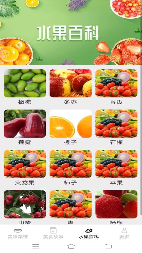 美味天天点官网版