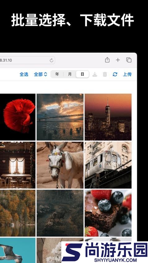 文件闪传app下载