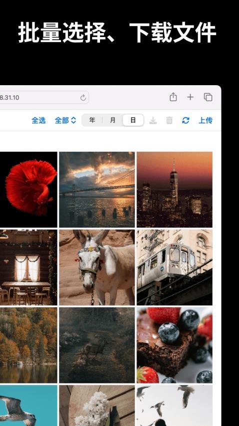 文件闪传最新版