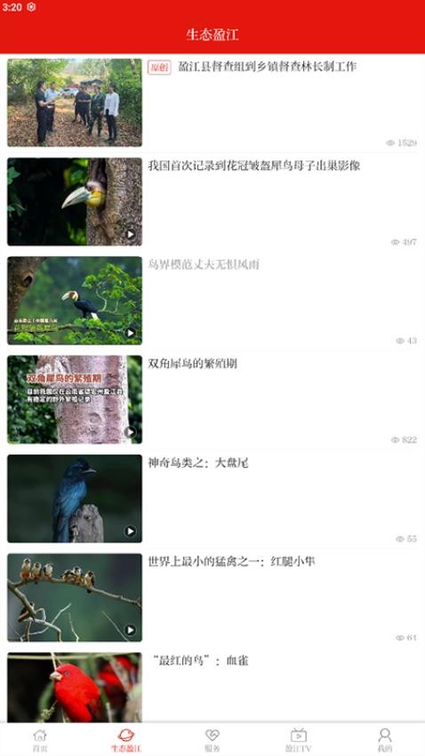 盈江云app最新版下载