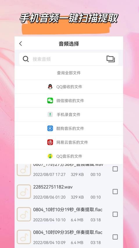 音频格式大师app