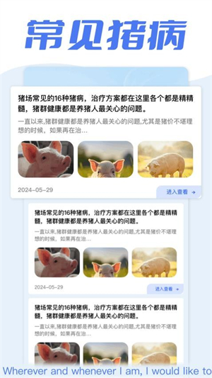 全民养猪场app