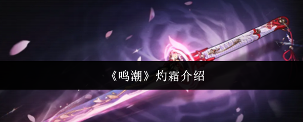 鸣潮灼霜介绍(鸣潮灼霜怎么样)