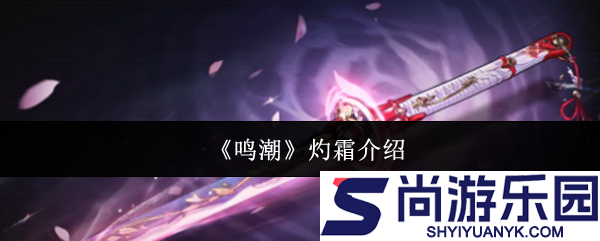 鸣潮灼霜怎么样