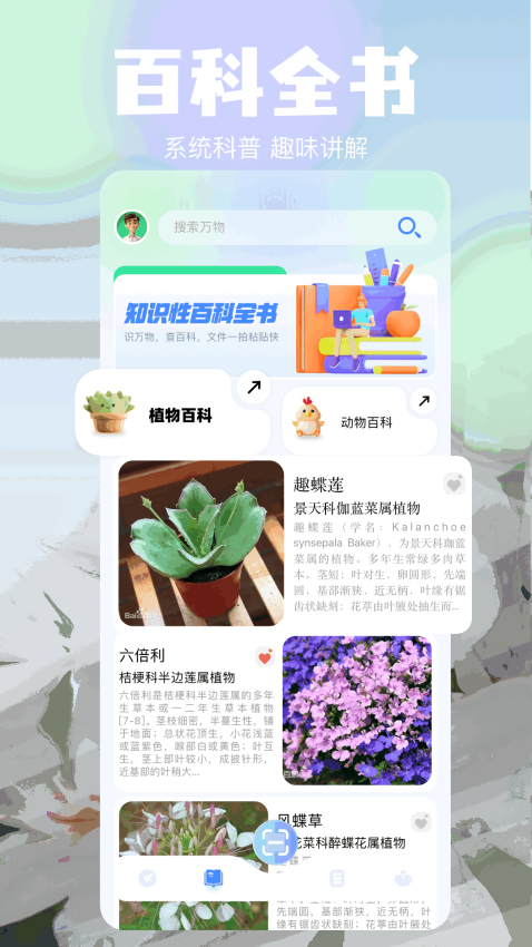 蝙蝠chat官网版