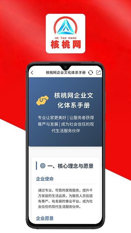 核桃网最新版