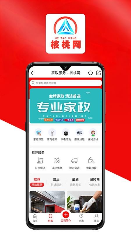 核桃网最新版