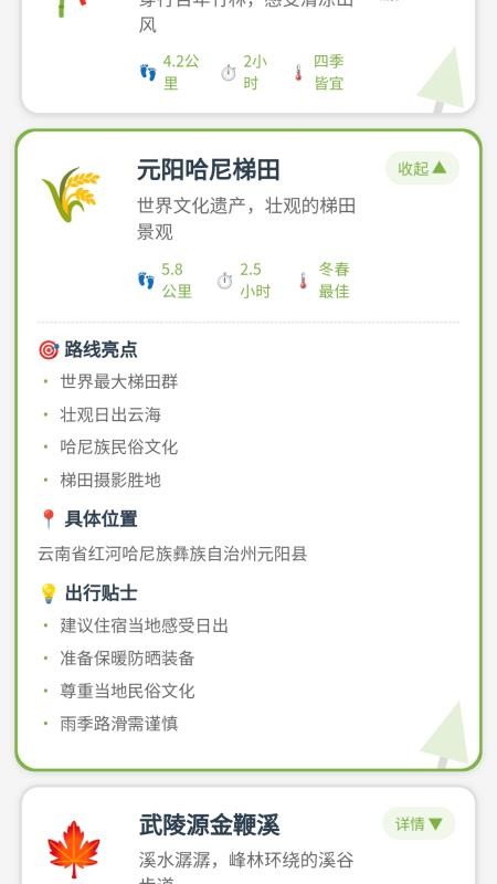 迈步赢最新版