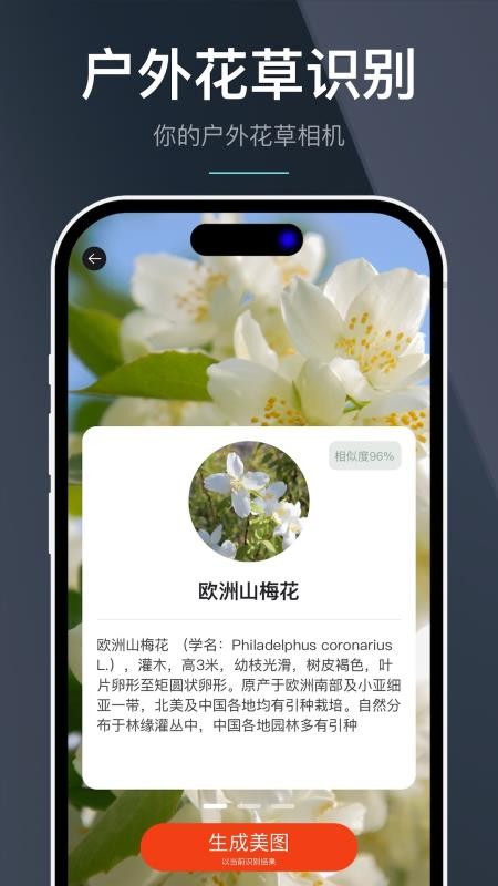 指南针全能王app官网版下载