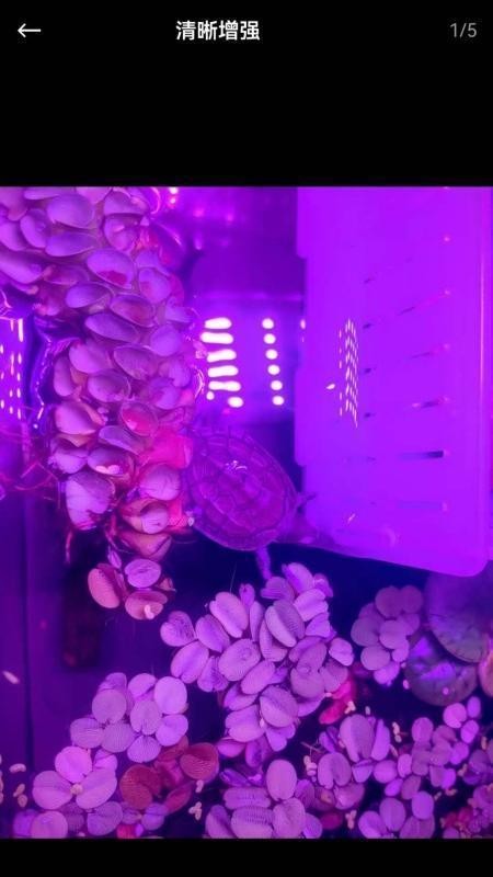 芯图相册手机版