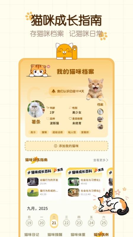 猫咪语言最新版下载安装