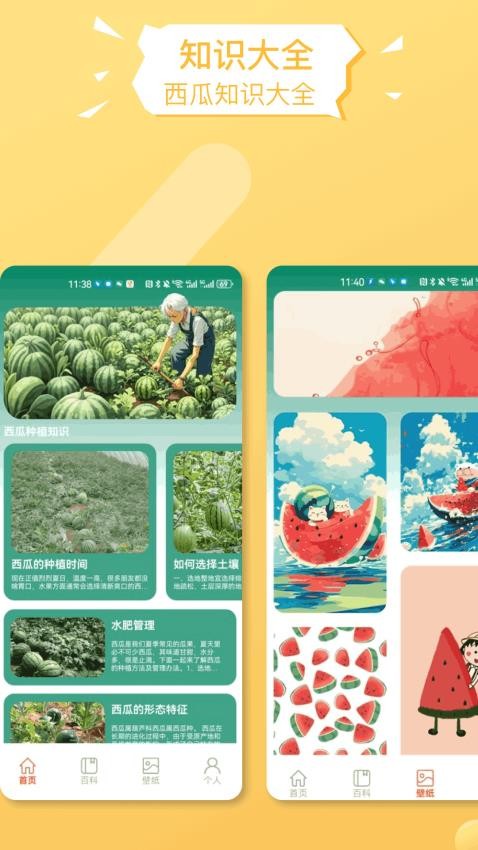 福运西瓜软件官方版下载