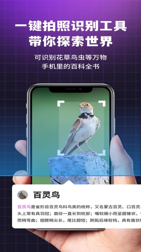 i浏览器无痕版APP下载