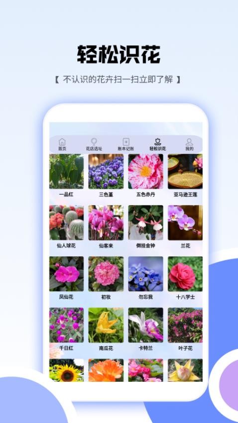 花朵爱消消app官方版下载