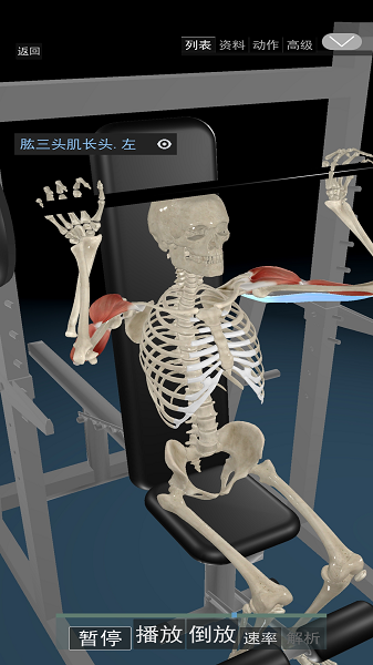 3D动态解剖软件下载安装