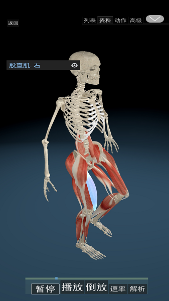 3D动态解剖软件下载安装