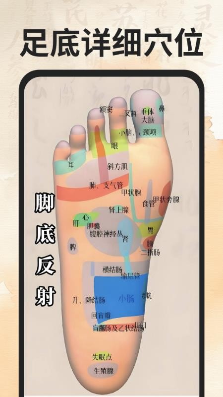 穴位经络图谱软件