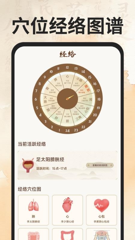 穴位经络图谱软件
