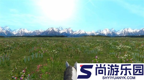 今天你骑马了吗游戏下载