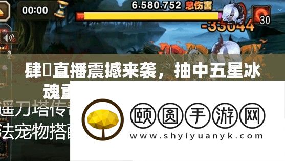 肆爺直播震撼来袭