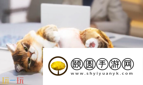 inzoi无法启动游戏 常见问题解决方法汇总