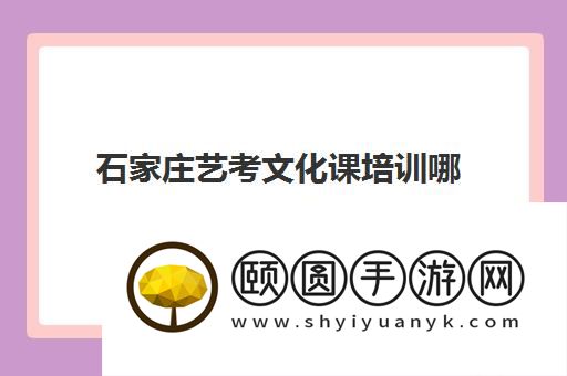 石家庄艺考文化课培训哪家好 卓越中学怎么样