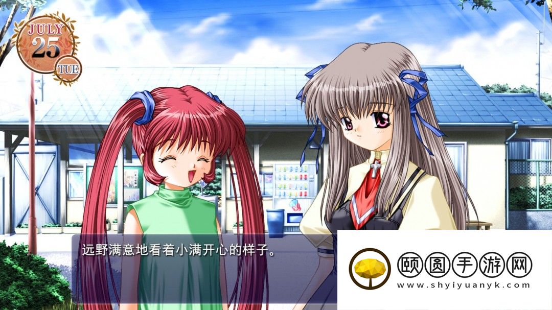 视觉小说《AIR》Steam商店页面 3月5日发售