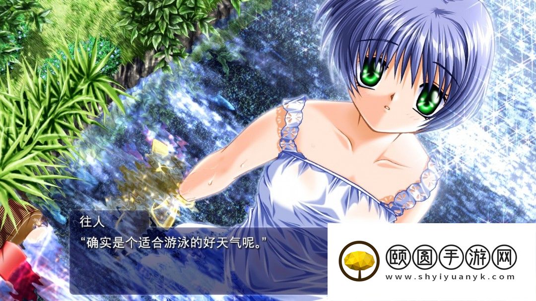 视觉小说《AIR》Steam商店页面 3月5日发售