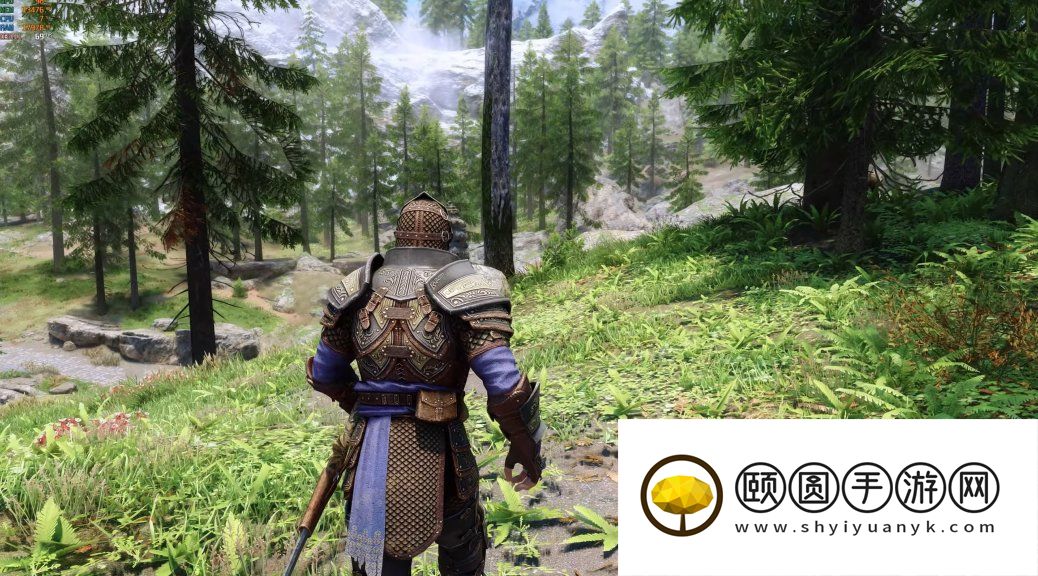 RTX 5090运行装3500多个MOD的《上古卷轴5》效果