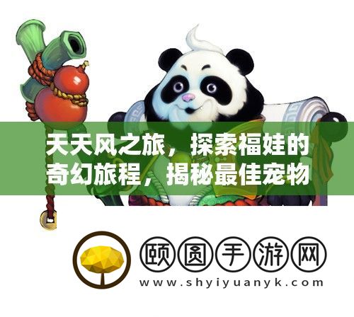 天天风之旅