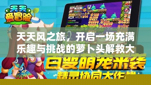 天天风之旅