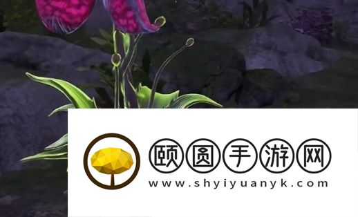 长时无间龙隐洞天食人芋在哪里