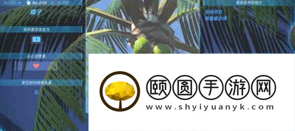 塞尔达传说王国之泪椰子在哪里？塞尔达传说王国之泪椰子位置攻略