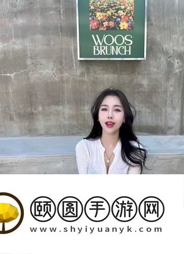 怎样在短视频范畴完成你的收费版创意梦想