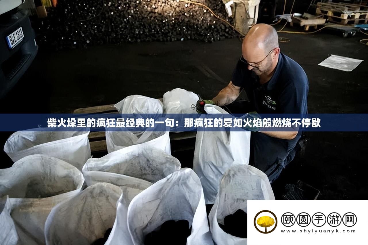 柴火垛里的疯狂最经典的一句