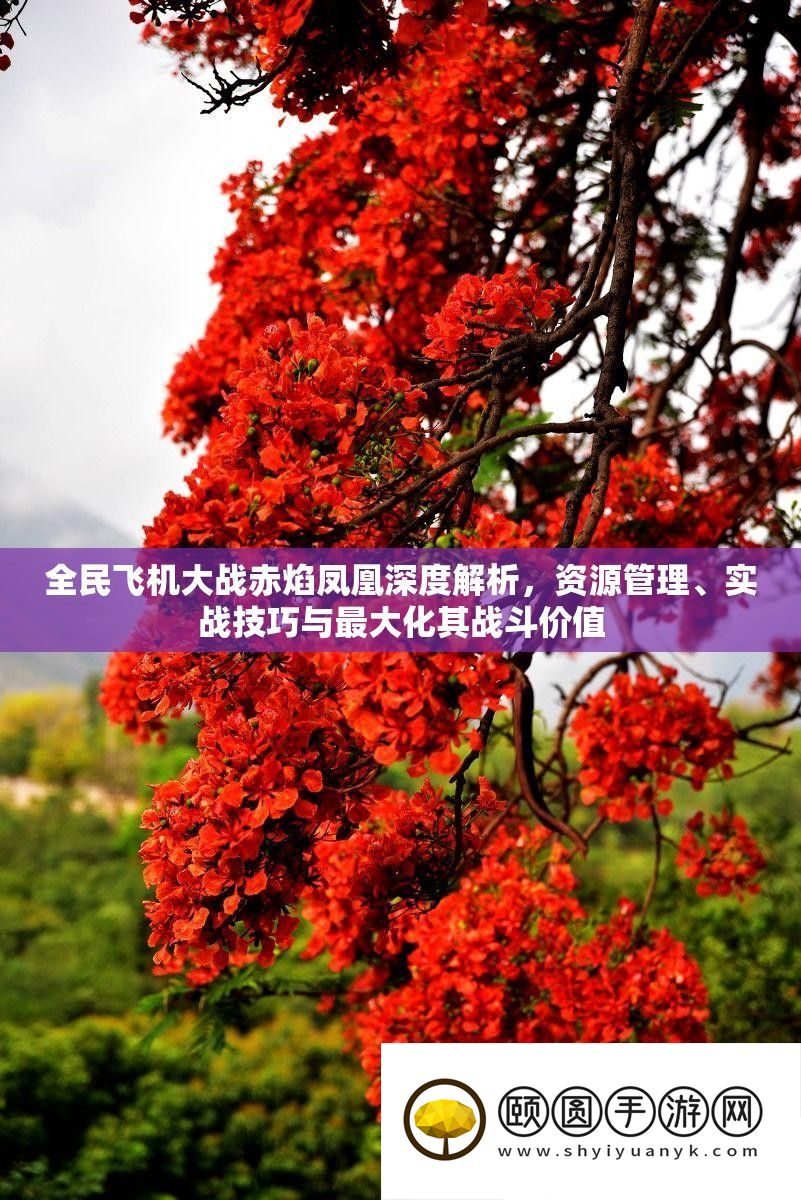 全民飞机大战赤焰凤凰深度解析