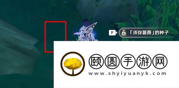 《原神》3.6盛典与慧业究古考察之一通关攻略